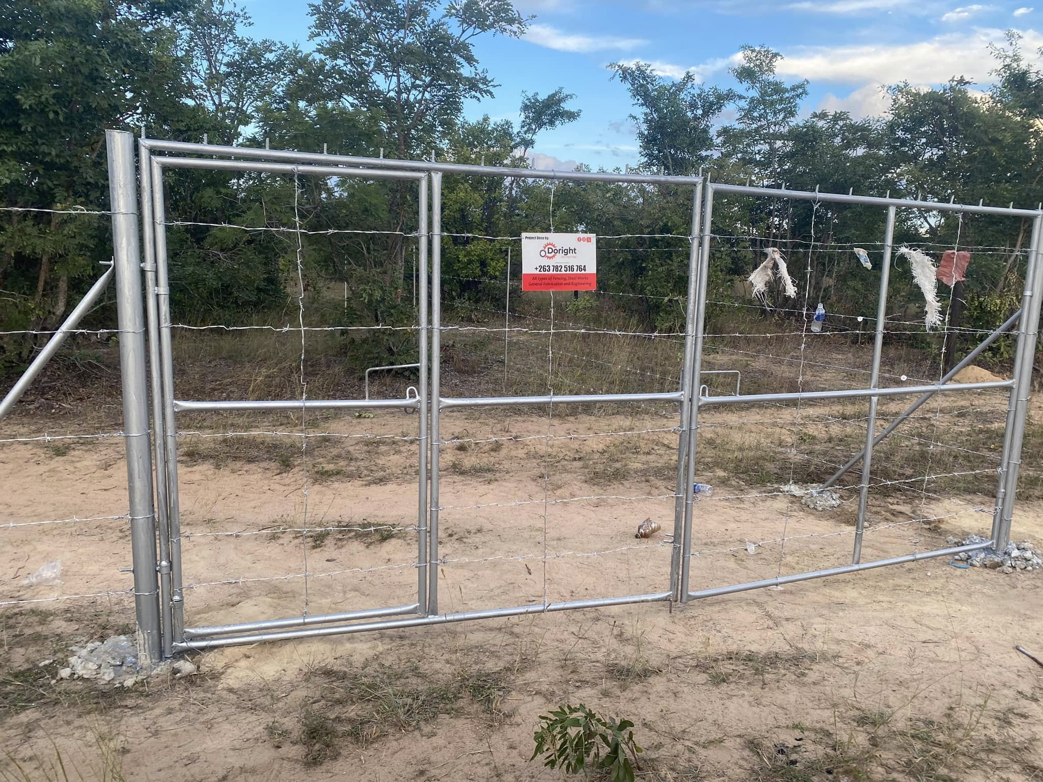 486564343_1071439184999739_8380180761444264093_n